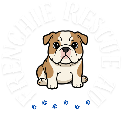 frenchie Rescue AU