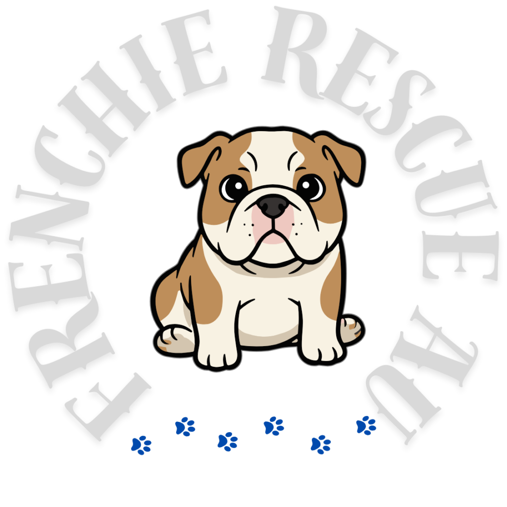 frenchie Rescue AU