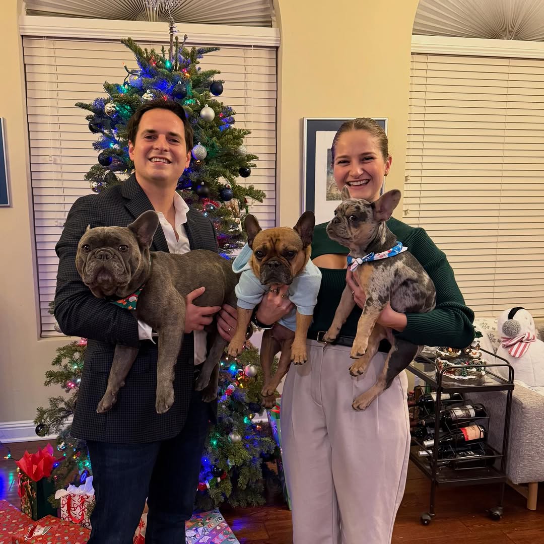 Frenchie Rescue Australia